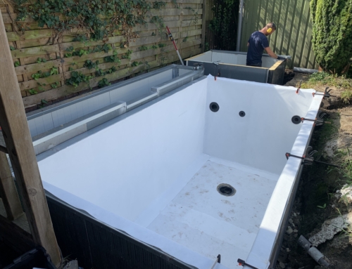 Koivijver in Frieschepalen