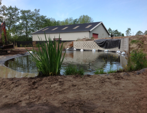 Zwemvijver in Drachten