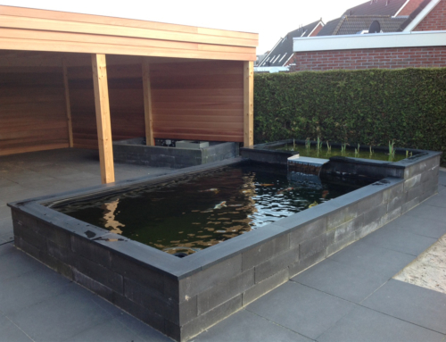 Koivijver met houten overkapping in Boornbergum