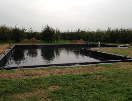 Grote vijver bouwen in Wijk bij Duurstede